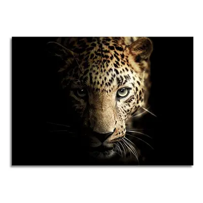 Skleněný obraz 100x70 cm Leopard - Styler