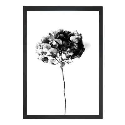 Obraz 24x29 cm Velvet Flower – Vavien Artwork