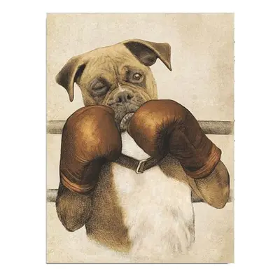 Nástěnný obraz na plátně Boxer, 30 x 40 cm