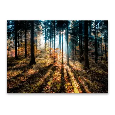 Obraz Styler Glasspik Autumn Sunset, 70 x 100 cm