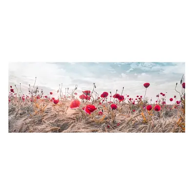 Obraz na plátně Styler Poppies, 60 x 150 cm