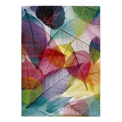 Koberec Universal Colors Multi, 160 x 230 cm