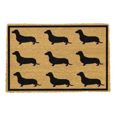 Rohožka z kokosového vlákna 40x60 cm Dachshund – Artsy Doormats