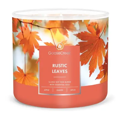 Vonná sojová svíčka doba hoření 35 h Rustic Leaves – Goose Creek