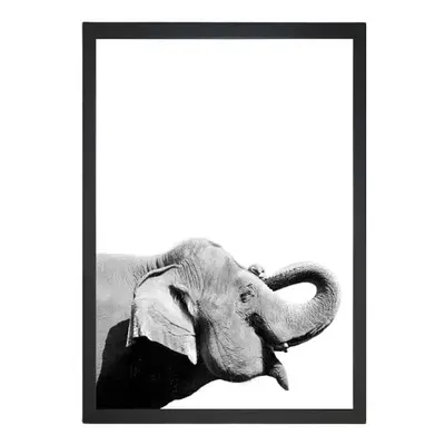 Plakát 24x29 cm Damarion Elephant – Tablo Center