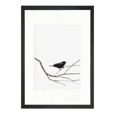 Plakát 24x29 cm Bird on the Branch – Tablo Center