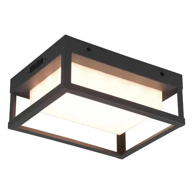 LED nástěnné venkovní svítidlo (výška 24 cm) Witham – Trio