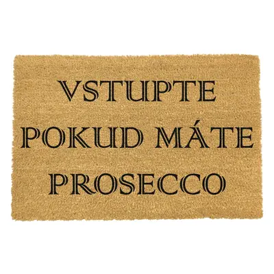 Rohožka z kokosového vlákna 40x60 cm Prosecco – Artsy Doormats