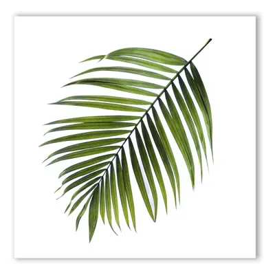 Obraz Styler Canvas Greenery Black Palm, 32 x 32 cm