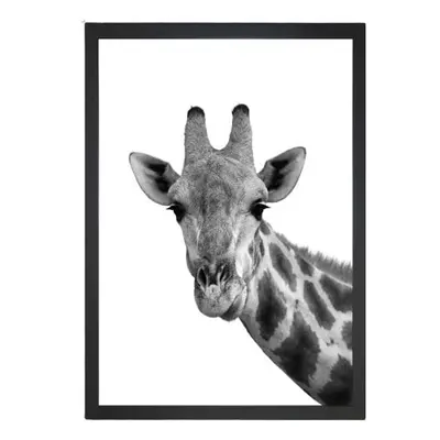 Obraz 24x29 cm Giraffe – Vavien Artwork