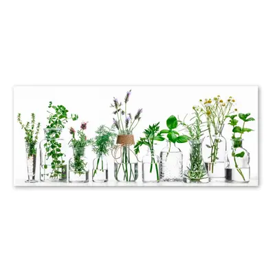 Obraz Styler Glasspik Herbs, 30 x 80 cm