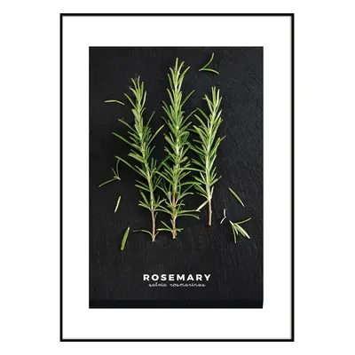 Plakát v rámu 50x70 cm Rosemary – Styler