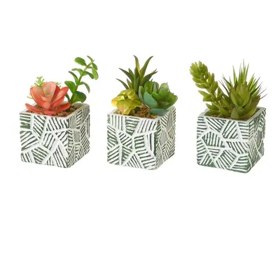 Umělé rostliny v sadě 3 ks (výška 12 cm) Cactus – Casa Selección