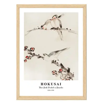 Obraz 35x45 cm Hokusai – Wallity