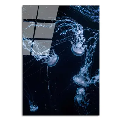 Skleněný obraz 70x100 cm Jelly Fish – Wallity