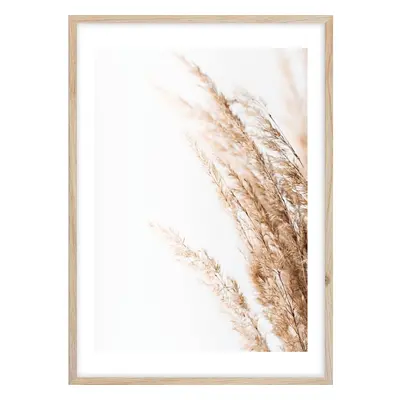 Plakát v rámu 50x70 cm Beige II – Styler