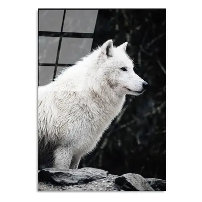 Skleněný obraz 70x100 cm White Wolf – Wallity