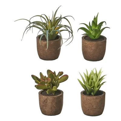 Umělé rostliny v sadě 4 ks (výška 10 cm) Cactus – Casa Selección