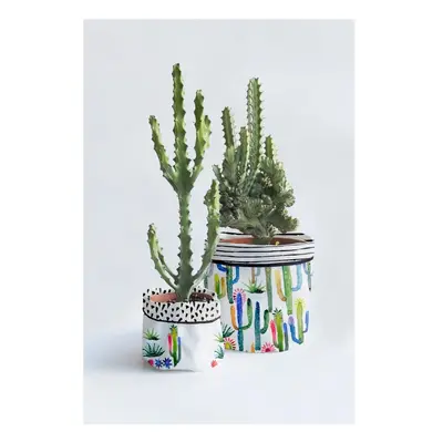 Sada 2 textilních obalů na květináč Surdic Watercolor Cactus