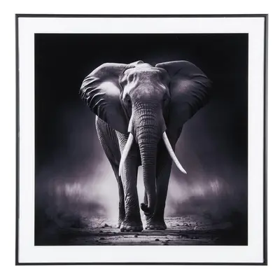 Obraz 50x50 cm Elephant – PT LIVING