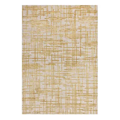 Žlutý koberec 160x230 cm Mason – Asiatic Carpets