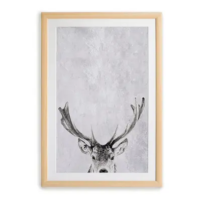 Obraz 30x40 cm Deer – Surdic