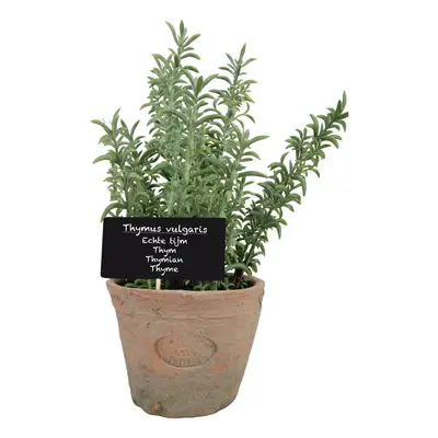 Umělá rostlina (výška 21,5 cm) Thyme – Esschert Design