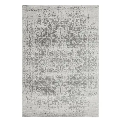 Šedý koberec 200x290 cm Nova – Asiatic Carpets