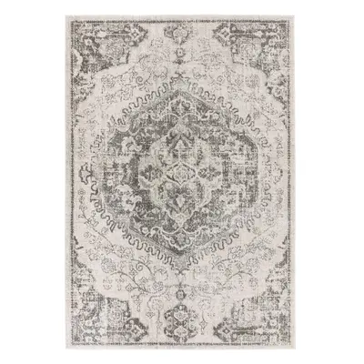 Šedo-krémový koberec 120x170 cm Nova – Asiatic Carpets