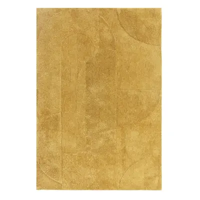 Okrově žlutý koberec 160x230 cm Tova – Asiatic Carpets