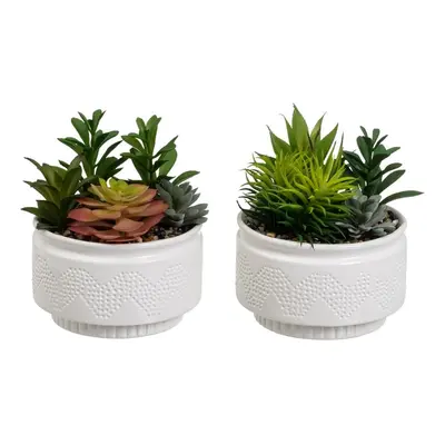 Umělé rostliny v sadě 2 ks (výška 19 cm) Cactus – Casa Selección