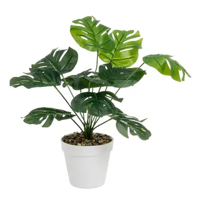 Umělá monstera (výška 38 cm) – Casa Selección