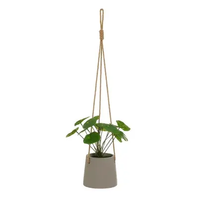 Umělá rostlina (výška 24 cm) Pilea – Casa Selección