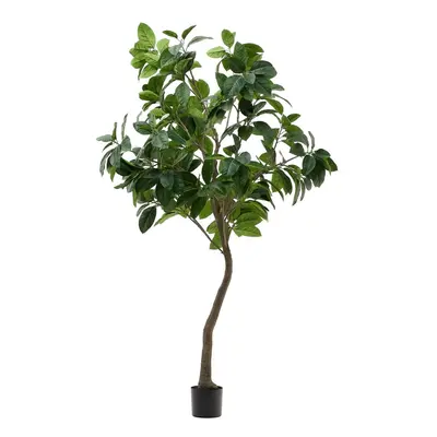 Umělý fíkus (výška 210 cm) Ficus – Kave Home