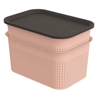 Světle růžové plastové úložné boxy s víkem v sadě 2 ks 18,5x26,5x18 cm Brisen – Rotho