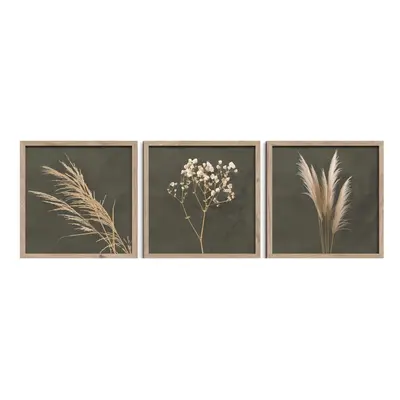 Obrazy v sadě 3 ks 30x30 cm Pampas – Styler