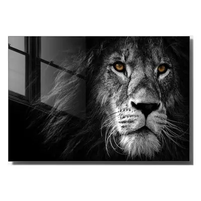 Skleněný obraz 70x50 cm Lion – Wallity