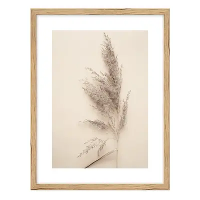 Obraz 30x40 cm Grass – knor