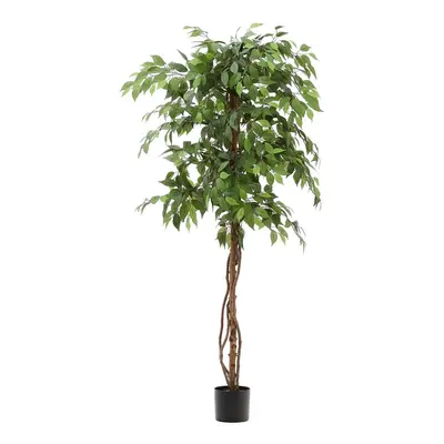 Umělý fíkus (výška 180 cm) Ficus – Kave Home