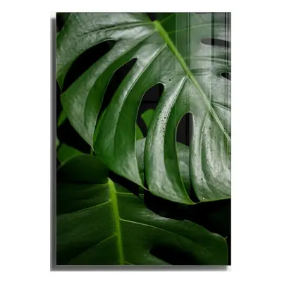 Skleněný obraz 70x100 cm Monstera – Wallity