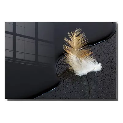 Skleněný obraz 70x50 cm Feather – Wallity