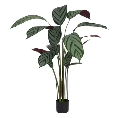 Umělá rostlina (výška 150 cm) Calathea – Ixia