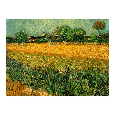 Reprodukce obrazu Vincenta van Gogha - View of arles with irises in the foreground, 40 x 30 cm