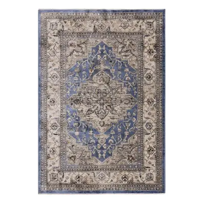 Modrý koberec 240x330 cm Sovereign – Asiatic Carpets