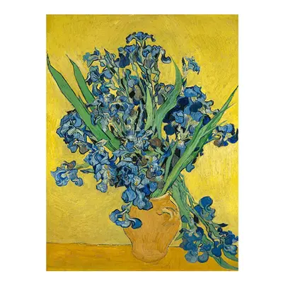 Reprodukce obrazu Vincenta van Gogha - Irises, 60 x 45 cm