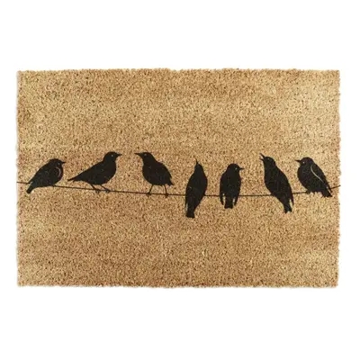 Rohožka z kokosového vlákna 40x60 cm Birds On a Wire – Artsy Doormats