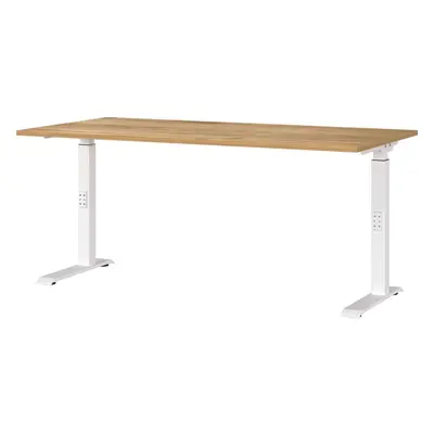 Pracovní stůl s nastavitelnou výškou s deskou v dekoru dubu 80x160 cm Downey – Germania