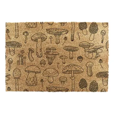 Rohožka z kokosového vlákna 60x90 cm Mushrooms – Artsy Doormats