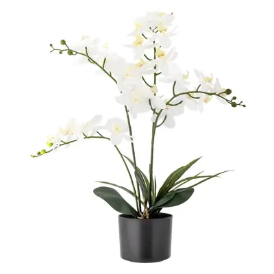 Umělá květina (výška 84 cm) Orchid – Bloomingville