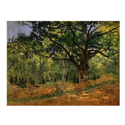 Reprodukce obrazu Claude Monet - The Bodmer Oak, Fontainebleau Forest, 70 x 50 cm